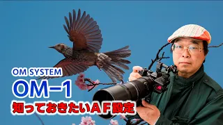 OM SYSTEM OM-1　知っておきたいAF設定