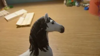 Schleich music video Whatever It Takes