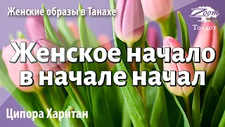 Урок для женщин. Хава — праматерь всех людей, или женское начало в начале начал. Ципора Харитан