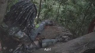 Predator: Screaming sound of Predator while treating on his bleeding wounds terrifies the jungle