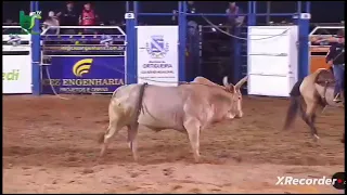 escurinho bullfighter