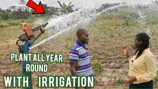 Irrigation In Farming | Irrigation In Vegetable Farming | Importance Of Irrigation |  Frenat Farms