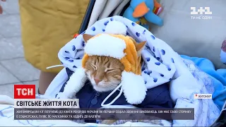 Найсоціальніший кіт України потрапив до книги рекордів