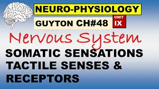 Ch#48 Physiology Guyton | Neurophysiology | Somatic Sensations | Tactile Senses | Sensory Receptors