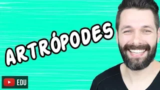 ARTRÓPODES - INTRODUÇÃO - ZOOLOGIA | Biologia com Samuel Cunha