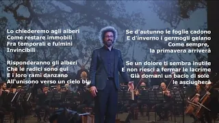 Simone Cristicchi - Lo chiederemo agli alberi {CON TESTO}