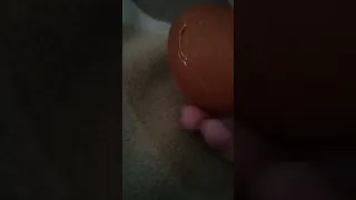 egg  о Heт  egg  сломался (2 часть