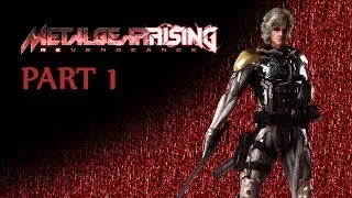 Metal Gear Rising: Revengeance (Very Hard New Game+) [Part 1: Guard Duty]