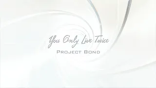 You Only Live Twice - Nancy Sinatra (1967 Bond Theme Cover by Rachel Layne)