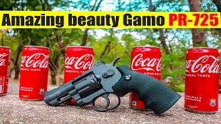 GAMO PR 725 Co2 Pellets .177Cal, 4.5mm Air Revolver vs coke can