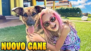 ABBIAMO ADOTTATO UN NUOVO CUCCIOLO DI CANE PER GIORGIA CON PAPÀ SALVO E MAMMA CINZIA!