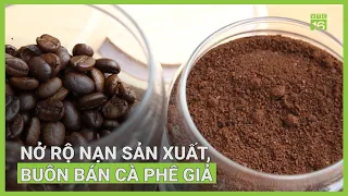 Nở rộ nạn sản xuất, buôn bán cà phê giả | VTC16