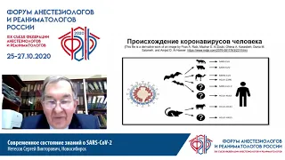 Современное знание SARS CoV 2 Нетесов С.В.