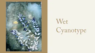 2024 A Klein Karoo Art Retreat 4-11 April 2024 Impressions of Nature - Cyanotype, Gel Printing