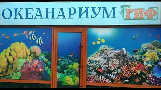 Анапа 2024 экскурсия в океанариум "РИФ". Anapa, excursion to the "RIF" oceanarium.