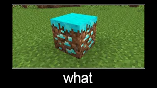 Minecraft wait what meme part 24 (diamond grass)