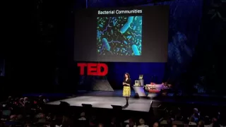 Бонни Басслер о том, как общаются бактерии
