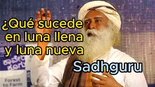 Sadhguru Español - ¿Qué sucede en luna llena y luna nueva