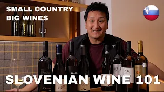 Slovenian Wine 101