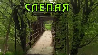 Слепая. Приметы из сериала от бабы Нины.