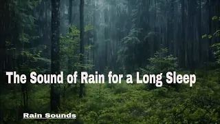 A Calm Rain allowing you to rest and Fall Asleep. The Sound of Rain for a Long Sleep.