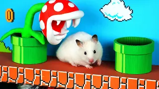 Super Mario Hamster Bros.