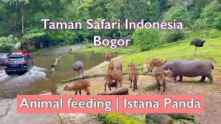 Jalan-Jalan di Taman Safari Bogor