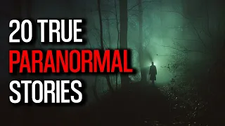 20 Shocking True Paranormal Stories   A Terrifying Night in the Wilderness