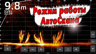 Новый режим работы Автоскана для Panoptix