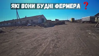 Тяжкі будні фермера на ранчо❗ Вівці🐑 Дрова 🪓Соняшник 🌻Ферма