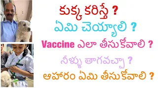 Dog bite, first aid/anti rabies vaccination/food /immunoglobulins/కుక్క కరిస్తే ఏమి చెయ్యాలి ?