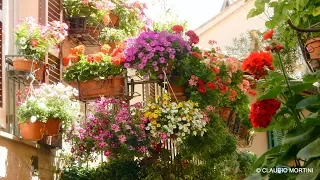 SPELLO IN FIORE - Finestre Balconi Vicoli fioriti 2019 - 4k