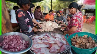 Extreme Cooking Food in Samphy Village! I joined the wedding in Kampong Thom, Rural! Village Food.