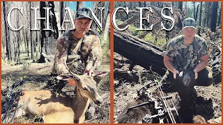 CHANCES || California Archery Hunt 2022 - TWO TAGS FILLED ON PUBLIC LAND || CACCIA Outdoors