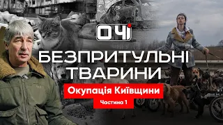 Безпритульні тварини Гостомеля та Ірпіня в окупіції. Покинуті КОТИ та СОБАКИ під час війни.