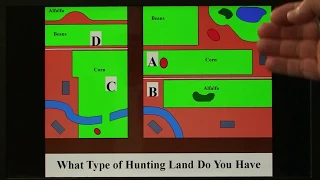 Land Types