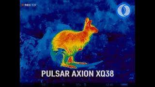 Temovize Pulsar Axion XQ38