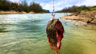 Lets Catch Alligator GAR On SMOL HOOK