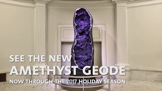 12-Foot Amethyst Geode Time Lapse