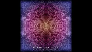 01 Yaminahua - Chemical Equilibrium