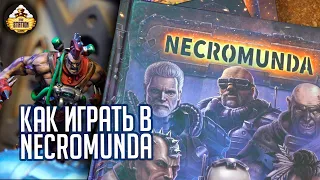 Как играть в Necromunda | Обучение |Warhammer 40k