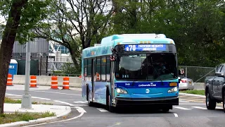MTA Bus Company: 2015 New Flyer XD40 Xcelsior #7449 on the Q70 Select Bus Service.