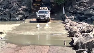 Crocodiles and Cars at Cahill’s Crossing