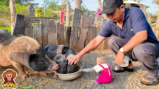 Smart monkey YiYi helps grandpa cook porridge to help the poor piglets