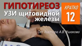 УЗИ щитовидной железы при Гипотиреозе || доктор Ушаков А.В.