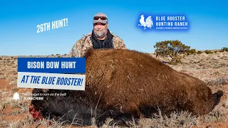 Bison bow hunt at The Blue Rooster [26th HUNT WITH US!]