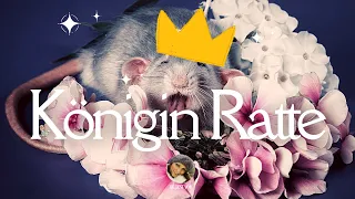 Märchen zum Entspannen & Schmunzeln: Königin Ratte | schnell einschlafen mit Märchen (Hörbuch)