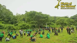 Tree Planting  - Mae Takrai National Park - Flight of the Gibbon