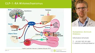 Diabetes: Paradigmenwechsel durch neue Antidiabetika