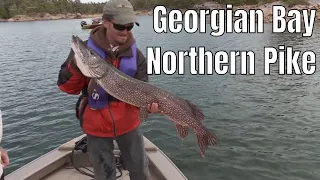 Big Georgian Bay Northern Pike | Fish'n Canada